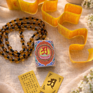 boncellensis secullant