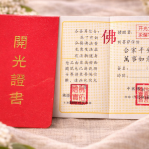 boncellensis secullant